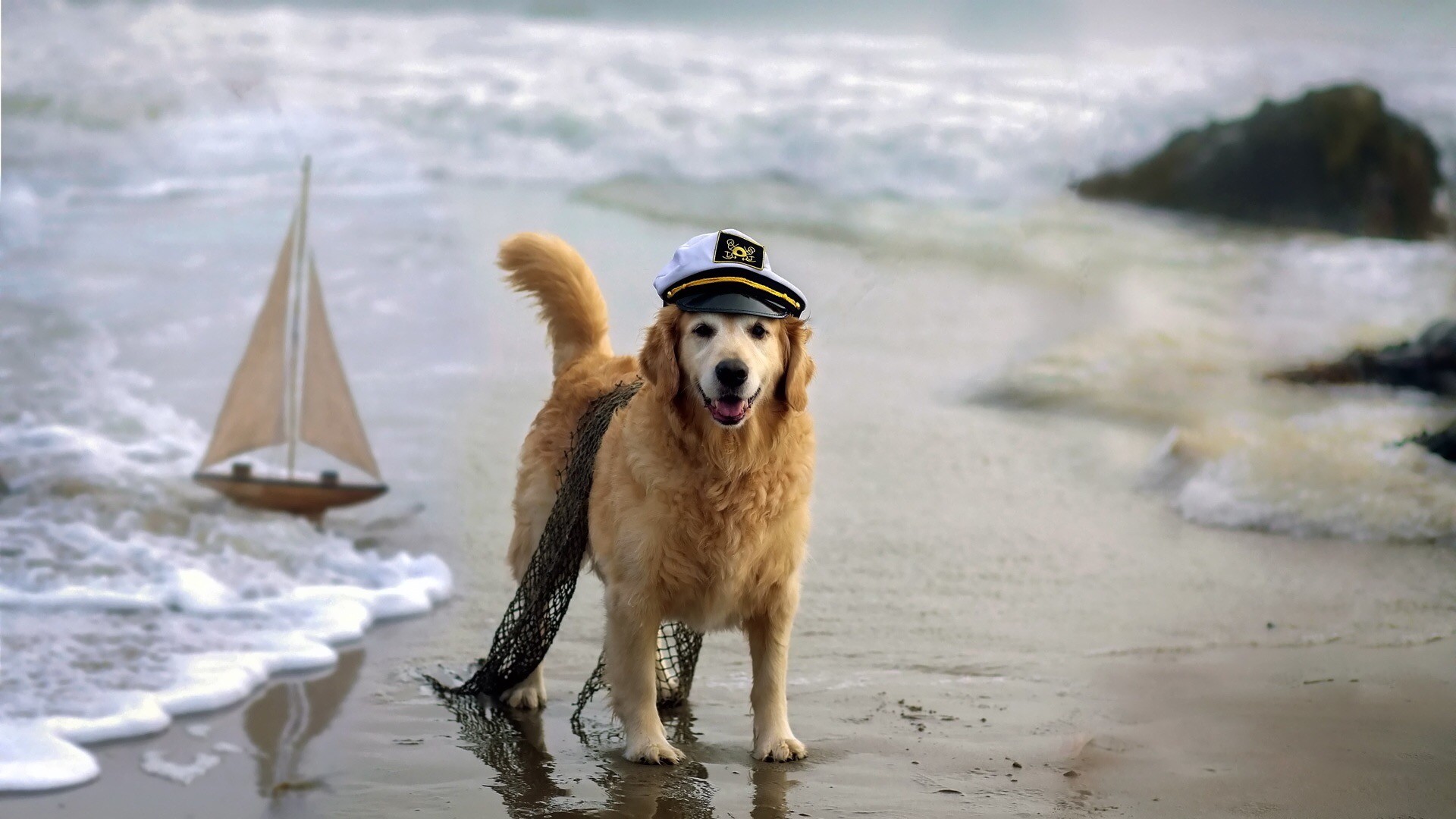 zg****蒸發(fā)結晶濃縮技術的實現者